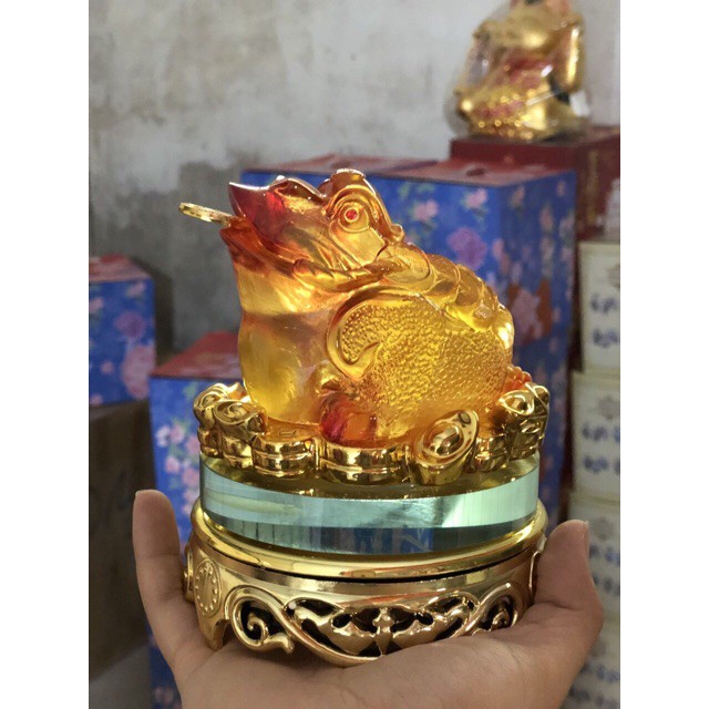 Combo cóc và ty hưu vàng lưu ly (Đế kính xoay đc)