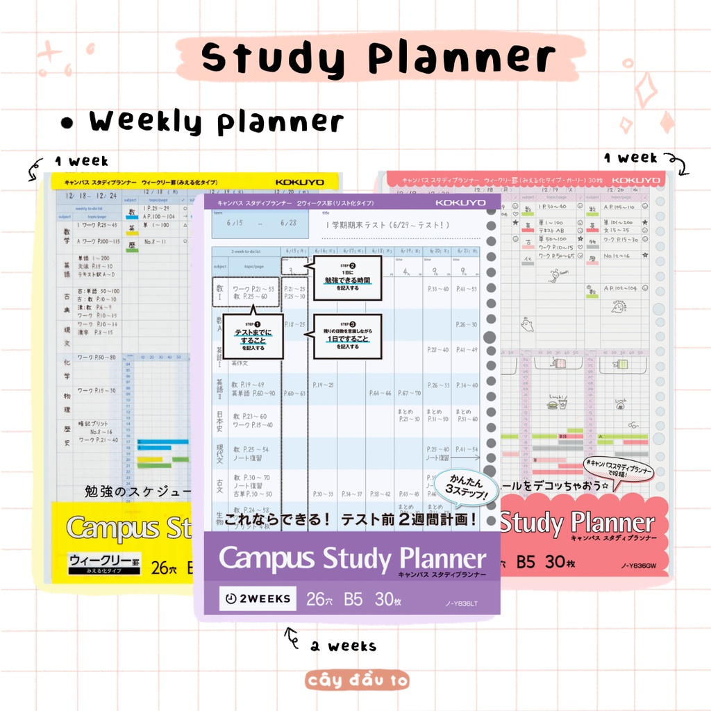 Set 30 Giấy Refill Binder Campus Study Planner Học Tập B5 Cây Đầu To