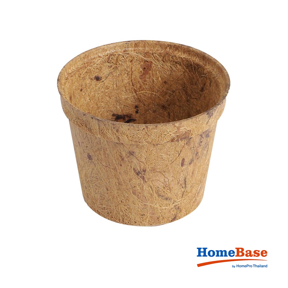 HomeBase SPRING Chậu cây bằng xơ dừa 6 cái có thể phân hủy sinh học Thái Lan W10xH8xD7,3cm màu nâu