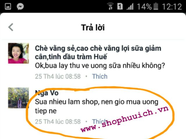 Chè vằng lợi sữa +giảm cân (vằng sẻ lá nhỏ QTri ) | BigBuy360 - bigbuy360.vn