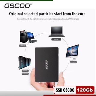 Ổ cứng ssd oscoo 120gb phân phối vsp