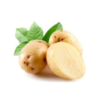 Củ khoai tây 500g