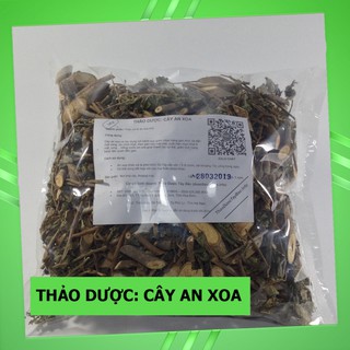 An Xoa - Cây An Xoa Hoa Tím 💟FREESHIP💟 Giảm Ngay 20K Khi Nhập [DUOCL20K]