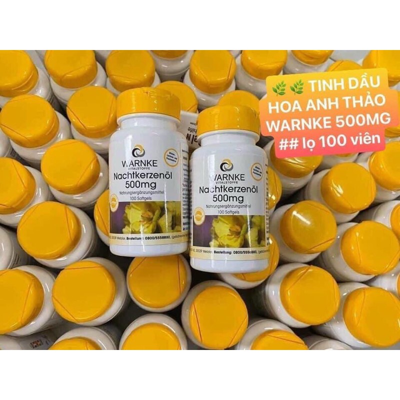 NỘI ĐỊA ĐỨC] Tinh Dầu Hoa Anh Thảo Warnke 500mg hộp 100 viên | BigBuy360 - bigbuy360.vn