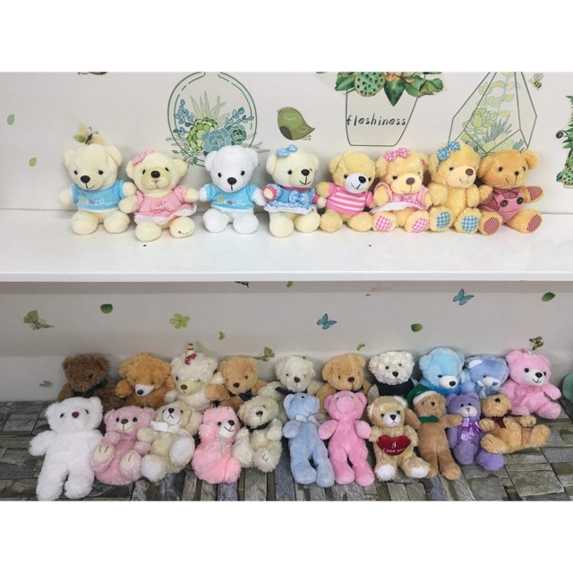 Combo 20 gấu bông teddy 450k