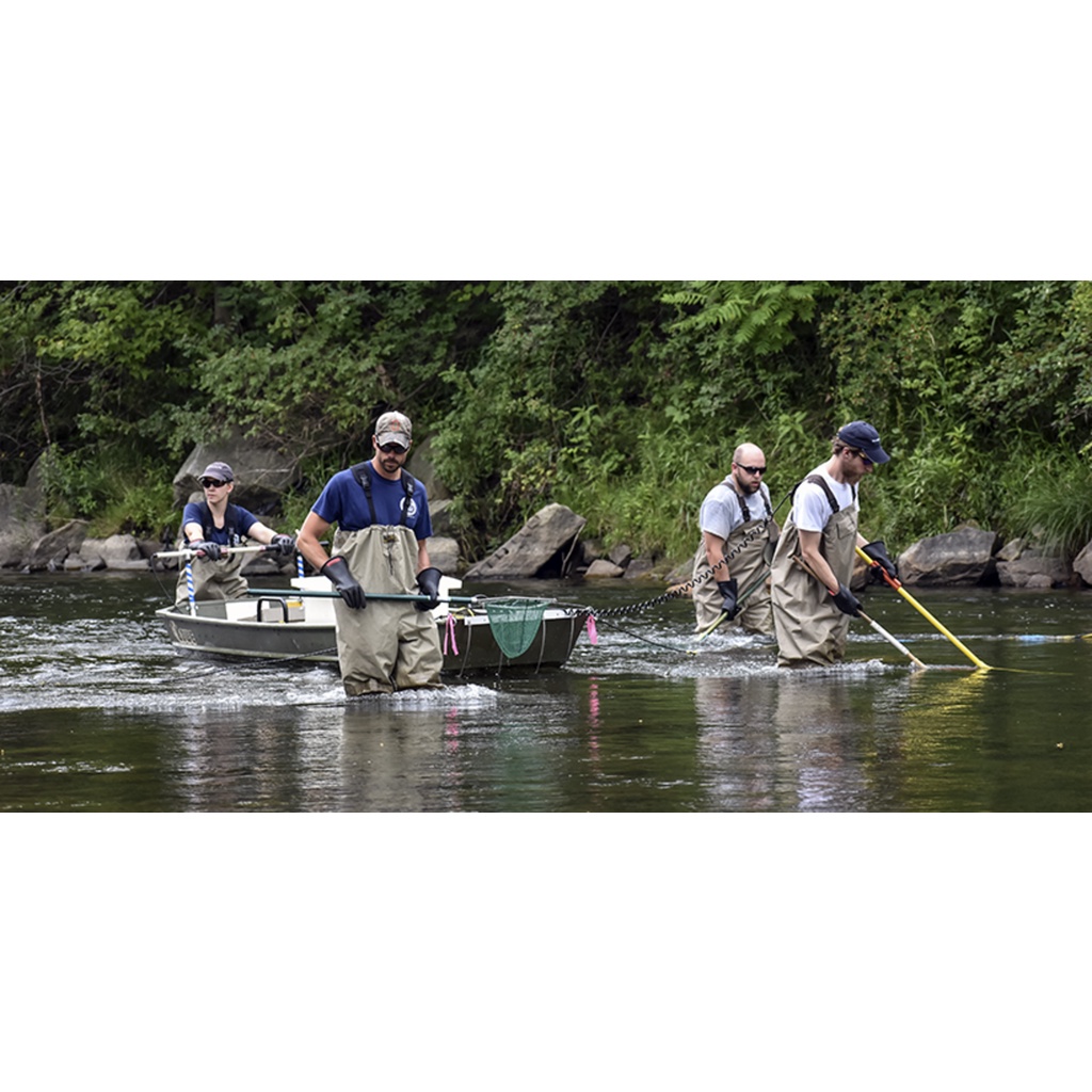 Vợt bắt cá dùng cho bộ kích dài 2,2m, 3m2, 4m3, 5m