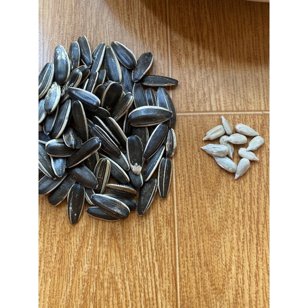 500g Hạt Hướng Dương Loại 1 Giòn Béo 💥FREESHIP💥