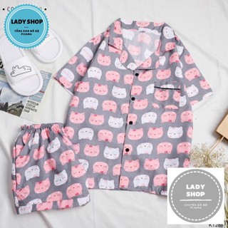 [Freeship đơn từ 0đ] [Siêu Hot] Bộ Đồ Mặc Nhà Kate Thái MS254 [HÀNG ĐẸP CHUẨN]