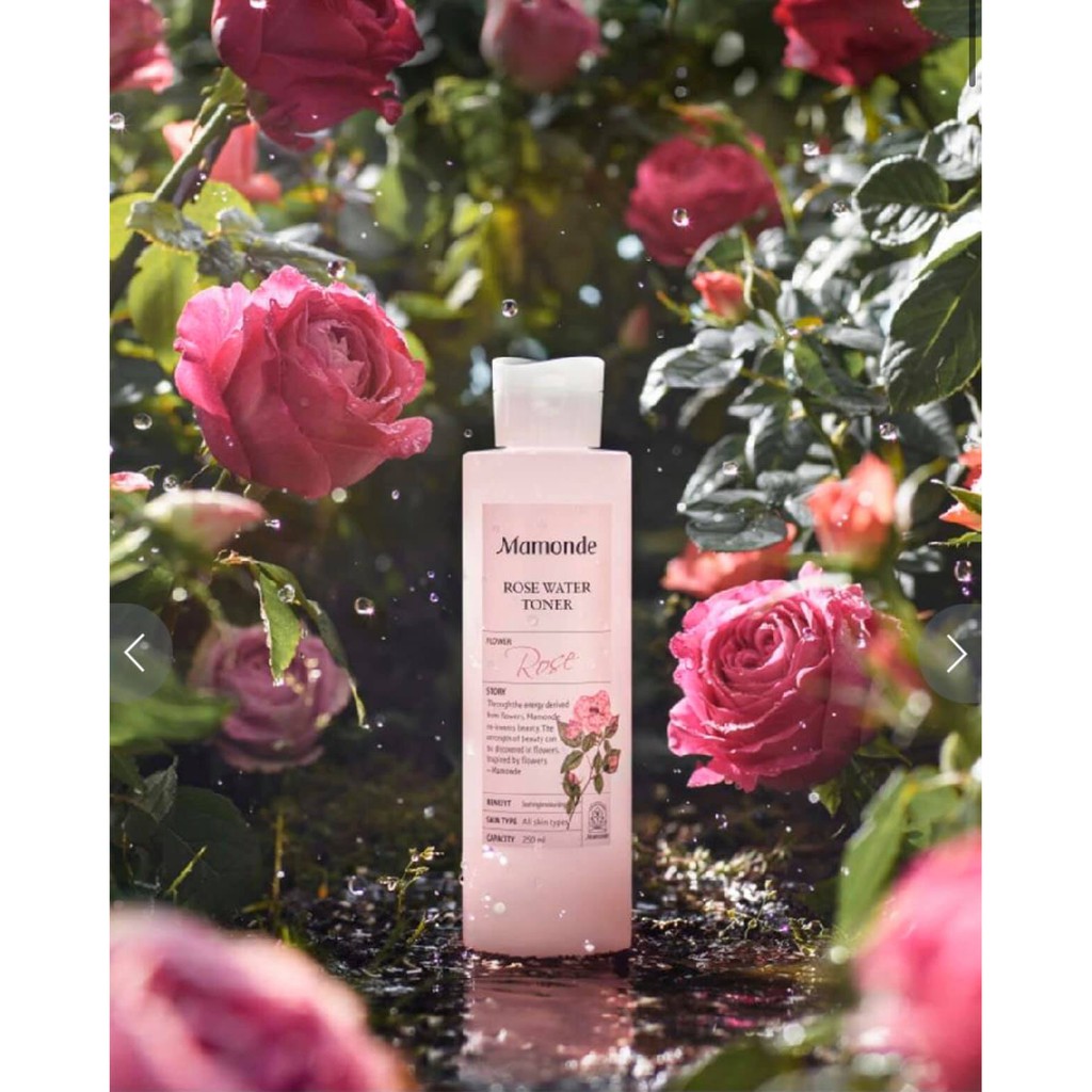 NƯỚC HOA HỒNG DƯỠNG DA / MAMODE / Nước hoa hồng không cồn Mamonde Rose Water Toner 250ml | BigBuy360 - bigbuy360.vn