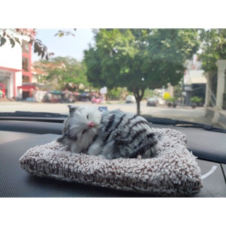 Thú bông than hoạt tính trang trí xe hơi