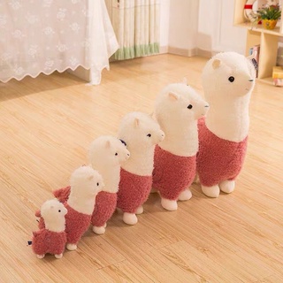🌟 GẤU BÔNG LẠC ĐÀ ALPACA 🔥