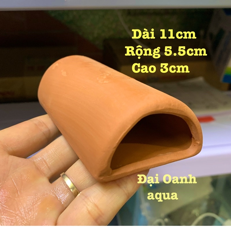 Hang Gốm Pleco - Hang cá thủy sinh - Hang Tôm - Hang trang trí- Trú Ẩn cho Cá Pleco, Cá Chuột