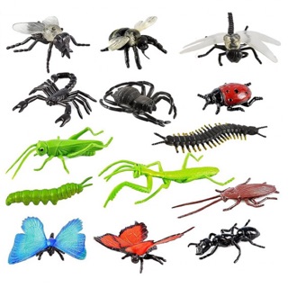 MÔ HÌNH CÔN TRÙNG SAFARI