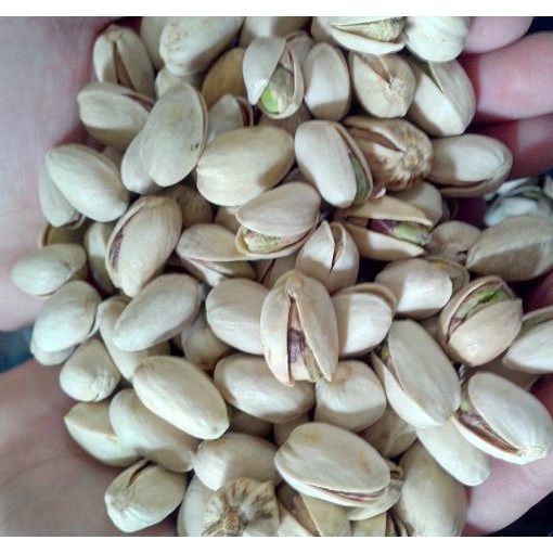 [Khai trương S.Ố.C] 450g HẠT DẺ CƯỜI Mỹ loại ngon giòn không tẩy trắng [Đã sấy chín] hạt TRUNG | BigBuy360 - bigbuy360.vn