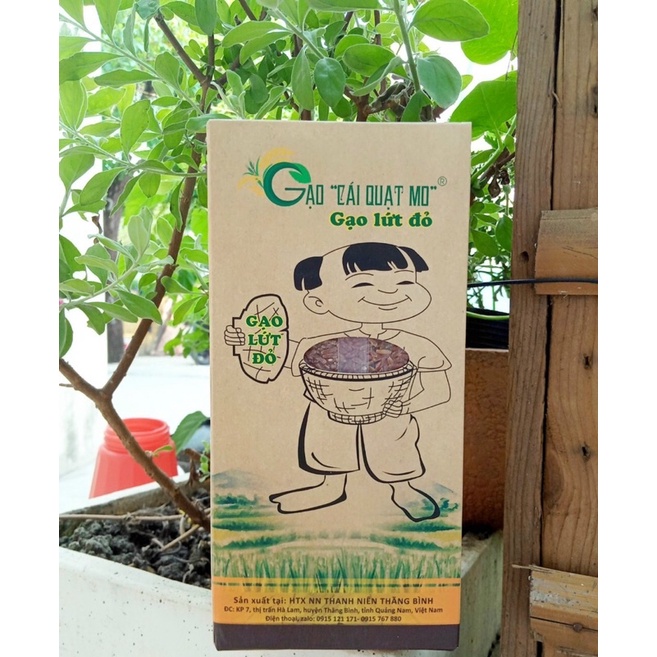 Gạo ST24/ lứt đen/ lứt đỏ/ nếp cẩm Cái Quạt Mo 1kg