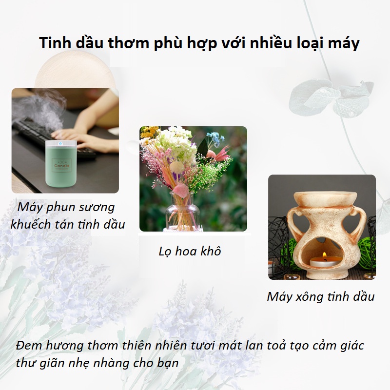 Tinh dầu thơm nước hoa thiên nhiên lọ 10ml dùng khuếch tán làm thơm phòng hàng nhập khẩu