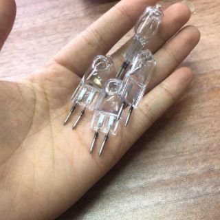 Bóng đèn xông tinh dầu ( 10 quả)
