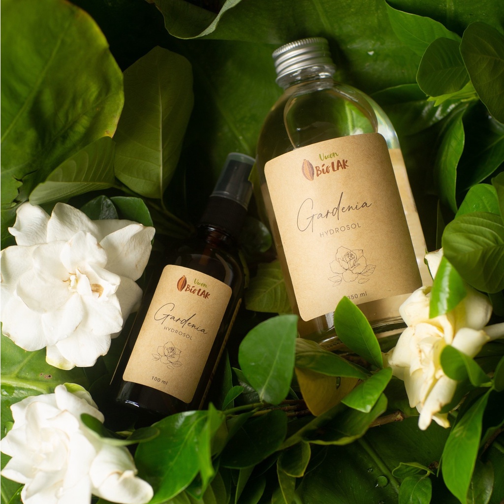 Hydrosol Gardenia – Nước cất sài đất nếp, bạch thiên hương | BigBuy360 - bigbuy360.vn