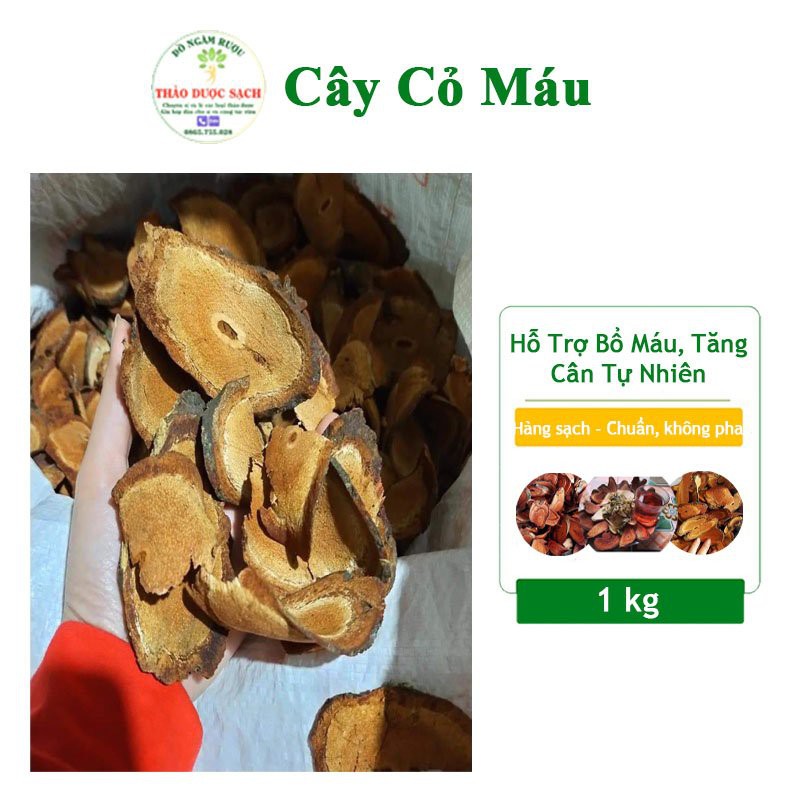 CÂY CỎ MÁU 🔺 HÀNG LOẠI 1 🔺 Cây giúp bổ máu tăng cân tự nhiên- hàng sạch- chuẩn không pha trộn 1kg