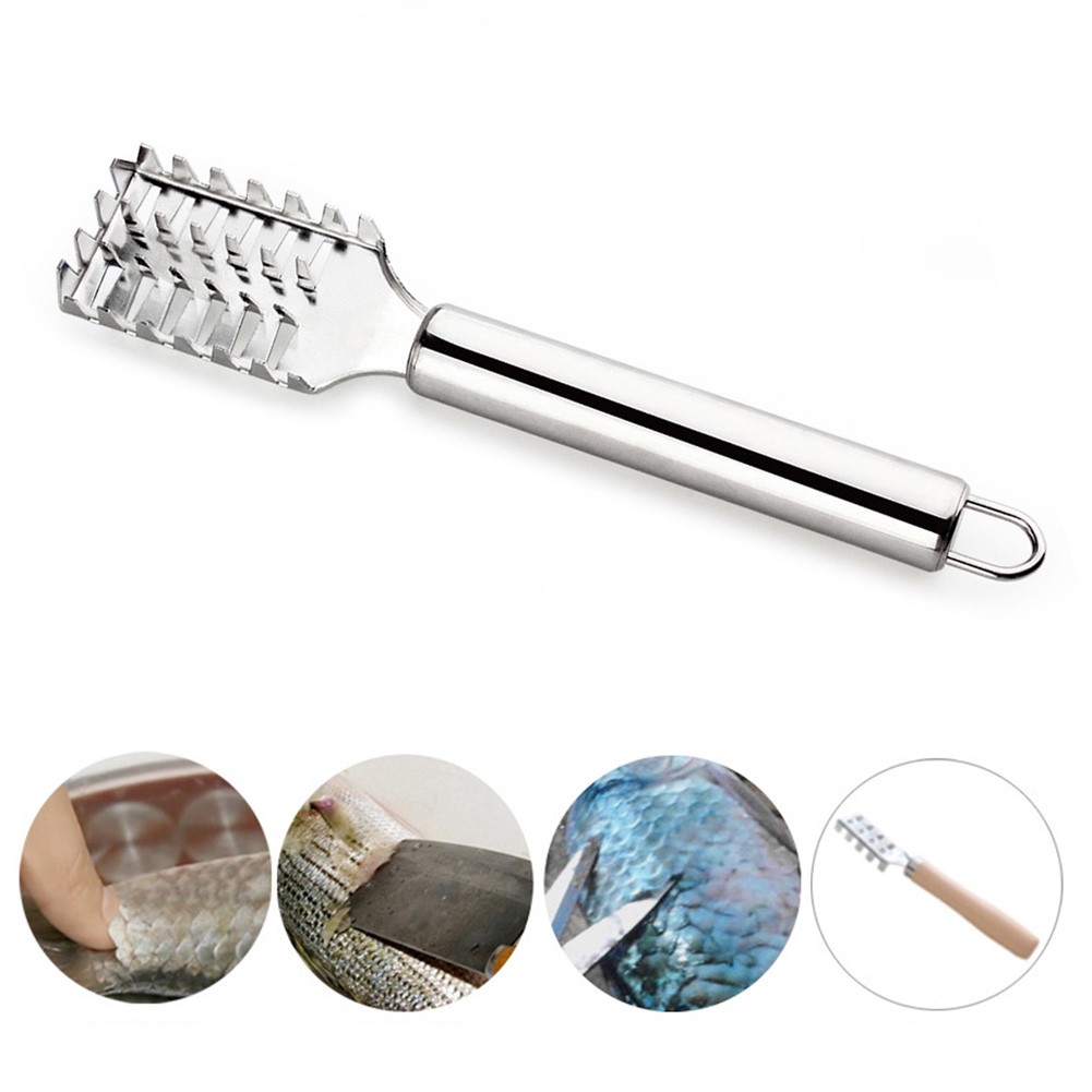 Dụng Cụ Đánh Vảy Cá Bằng Thép Không Gỉ Tiện Lợi