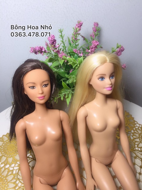 Búp bê tiên cá - búp bê barbie