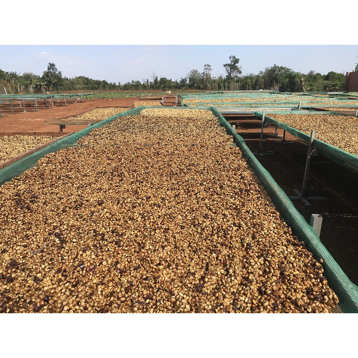 Cà Phê Nguyên Chất. Cafe Hạt Pha Phin, Pha Máy, Đắng Diệu, Thơm Nhẹ Quyến Rũ. NguyenPhu Coffee & Roastery | BigBuy360 - bigbuy360.vn