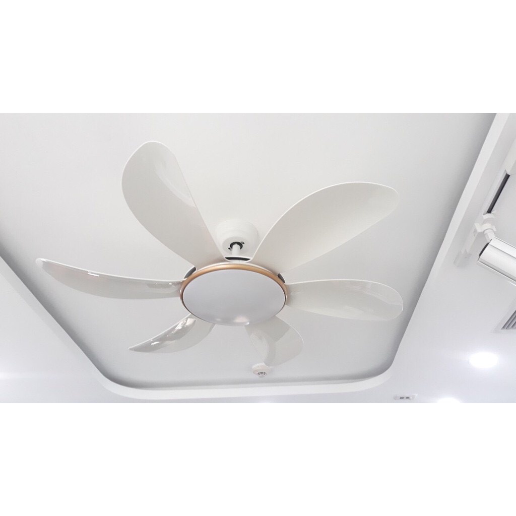 Quạt trần đèn trang trí cánh cong,điều khiển cầm tay từ xa 6 chế độ mát có đảo chiều hút ẩm mùa đông,bảo hành 5 năm