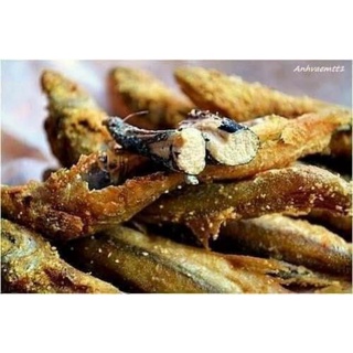 CÁ TRỨNG NA UY 500G