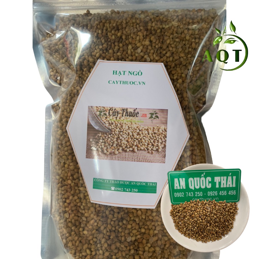500g Hạt Ngò (Hạt Mùi, Ngò Rí) Thơm, Sạch Gia Vị Nấu Phở, Nấu Sâm Thơm Ngon