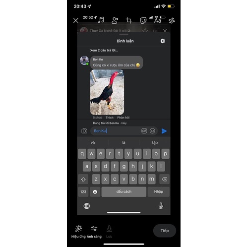 Om gà chọi nhân duyên