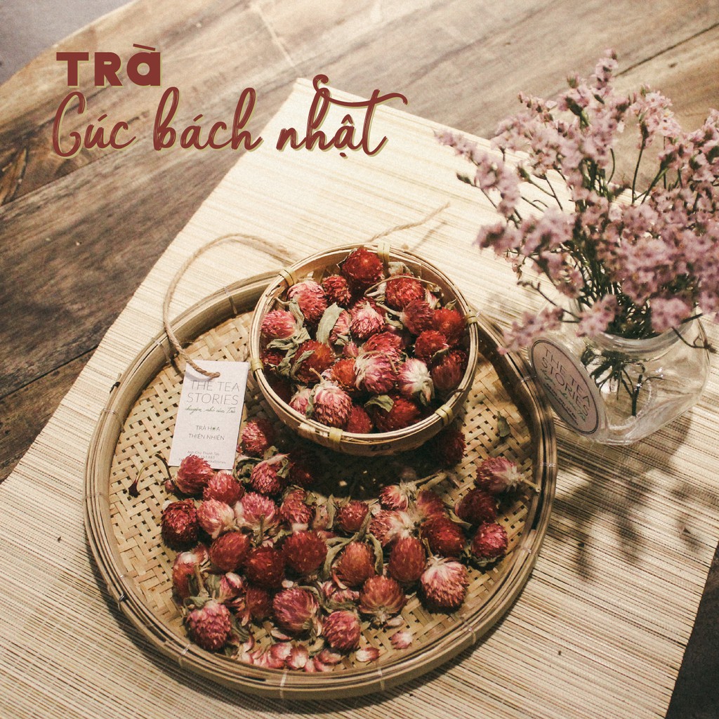 Trà Hoa Cúc Bách Nhật thơm mát, thư giãn - The Tea Stories