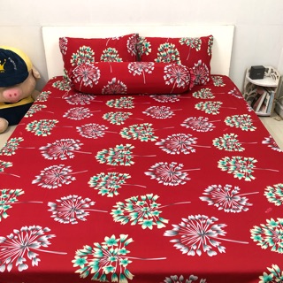 Bộ drap thun Hàn Quốc
