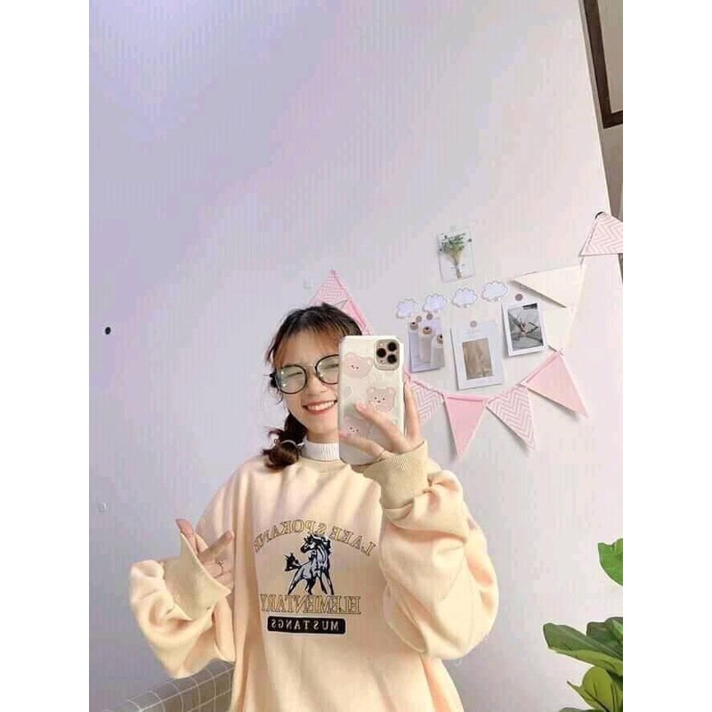 Áo swt con ngựa chất nỉ bông dày dặn HANA238