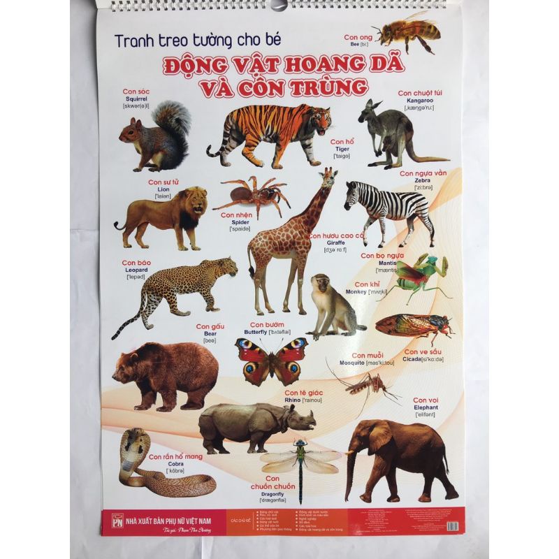 Bộ tranh song ngữ dạng cuốn lịch 6 tờ - 14 chủ đề chữ cái con vật hoa quả màu sắc treo tường cho bé