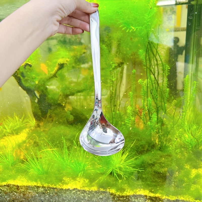 Muỗng canh muôi múc canh vá múc canh inox 304 cao cấp