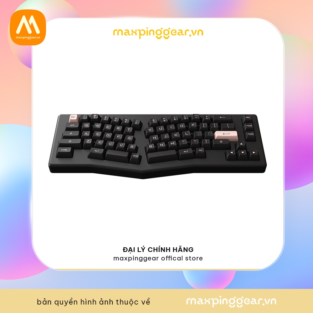 Bàn phím cơ Akko ACR Pro Alice Plus