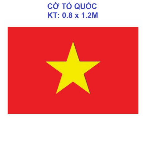 Cờ Tổ Quốc - KT 80x120cm