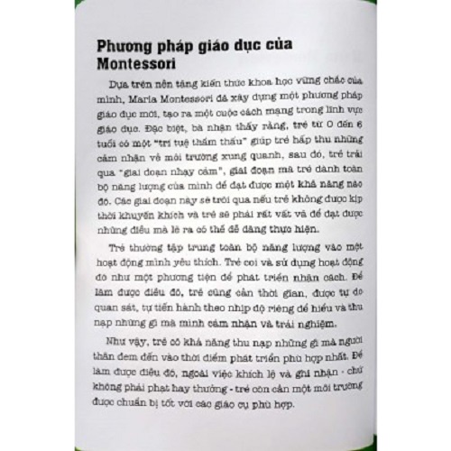 Sách – 100 Hoạt Động Montessori: Cha Mẹ Nên Chuẩn Bị Cho Trẻ Tập Đọc Và Viết Như Thế Nào?