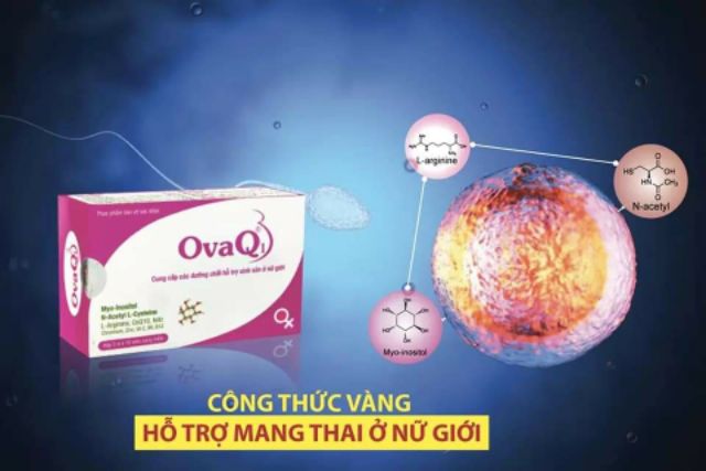 OVAQ1 HỖ TRỢ MANG THAI NHANH HƠN [CAM KẾT CHÍNH HÃNG]