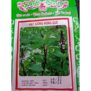 HẠT GIỐNG HÚNG QUẾ