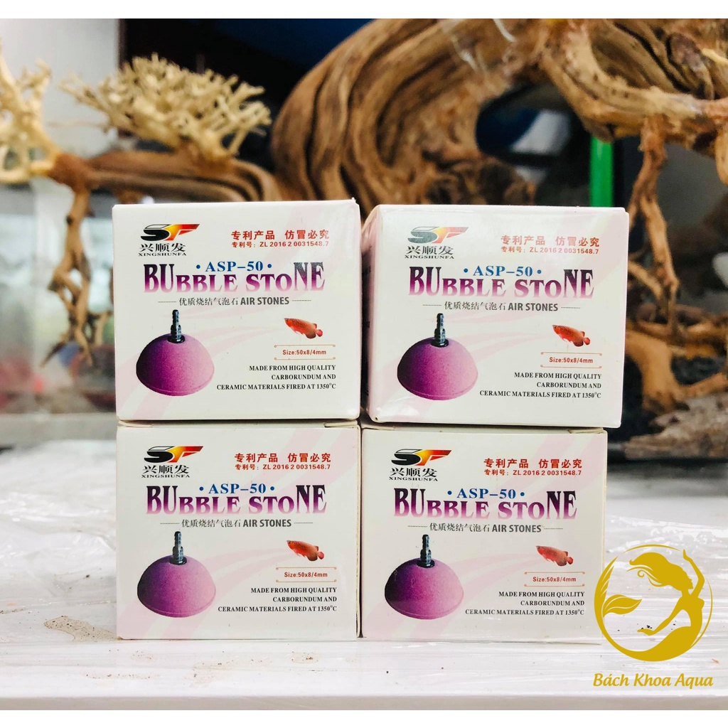 Quả sủi Oxy mini hình nón