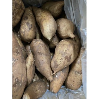 Khoai sâm đất y tý 1kg