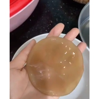 CON GIỐNG SCOBY + NƯỚC MỒI