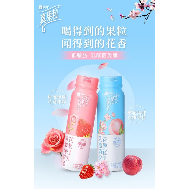 SỮA CHUA UỐNG CHÂN QUẢ LẠP | BigBuy360 - bigbuy360.vn