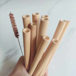 Ống hút tre tặng cọ xơ dừa ( 1 ống hút tre và 1 cọ)