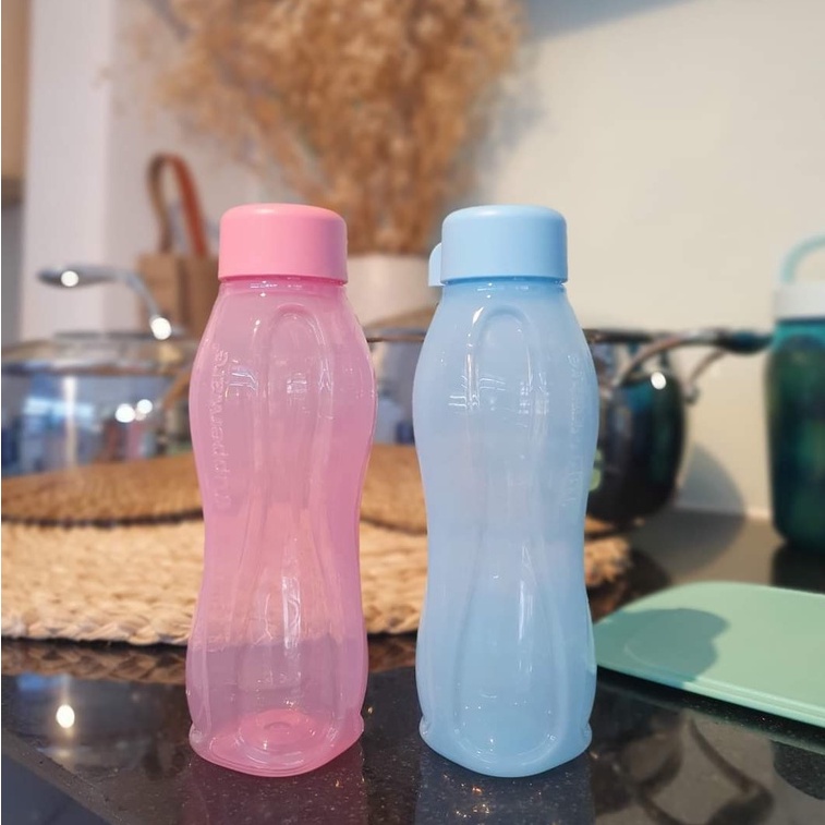Bình nước Tupperware 💕Freeship💕Eco bottle 310ml kín nước, xinh xắn cho bé cực yêu