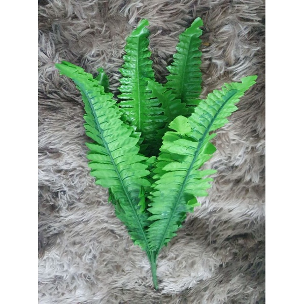 Com bo 2 bó Lá dương xỉ