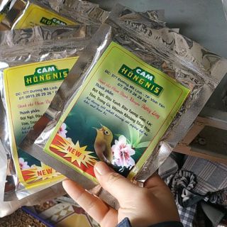 Cám chim khuyên Hùng nis