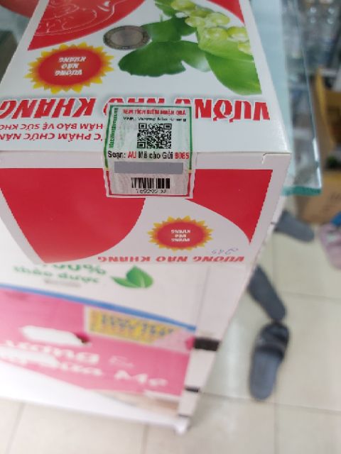 Vương não khang