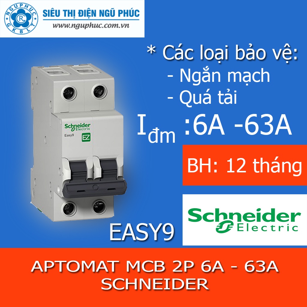 Aptomat MCB Easy9 - 2P - 6A ~ 63A Schneider